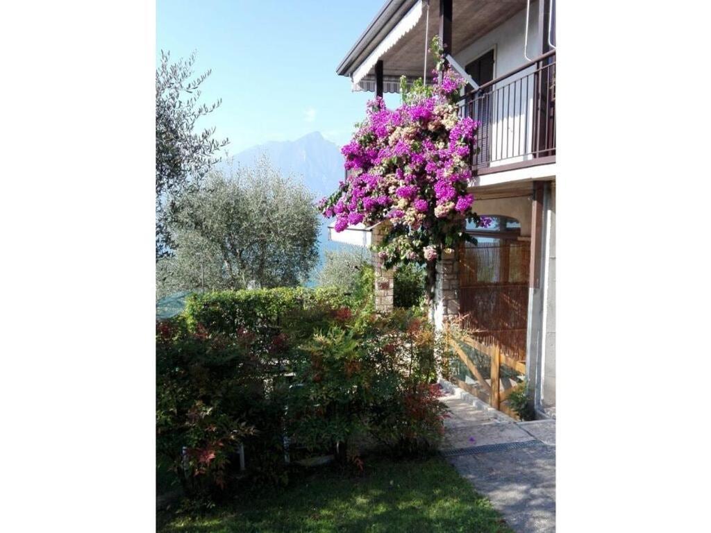 Holiday Home Comfort Apartment Casa Rossone Torri Del Benaco Exterior photo